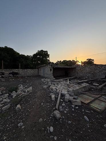 Torpaq sahələrinin satışı: Kənd təsərrüfatı, Mülkiyyətçi -da lalafo.az — 5 Torpaq sahələrinin satışı: Kənd təsərrüfatı, Mülkiyyətçi — 5
