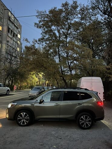 аварийный форестер: Subaru Forester: 2021 г., 2.5 л, Автомат, Бензин, Кроссовер