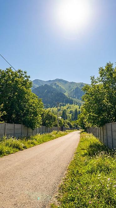 инвестиций: 16 соток, Для строительства, Красная книга — 4