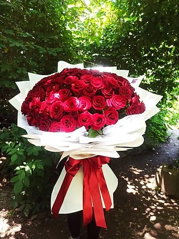 Другая зелень и микрозелень: Акция 51 роза 1900‼️Дешево Розы букеты оптом и в розницу 24/7 доставка — 4