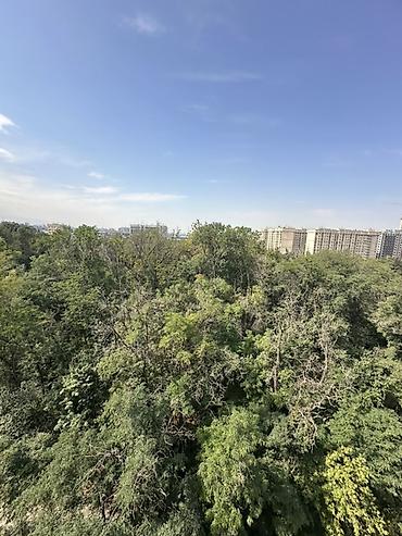 Продажа квартир: Студия, 57 м², Азия Молл Элитка, 9 этаж, Евроремонт — 2