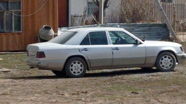 мерси шоколад цена в бишкеке: Mercedes-Benz 220: 1994 г., 2.2 л, Механика, Бензин, Седан