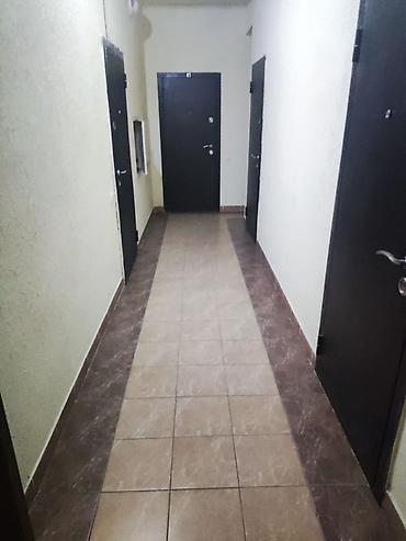 Продажа квартир: 1 комната, 29 м², Элитка, 5 этаж, Евроремонт — 5