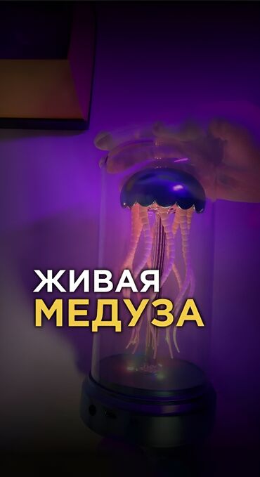 доставка домашней еды в офис: ✨🌌 Открой для себя магию ночи с нашим новым ночником в виде медузы! 🌌✨