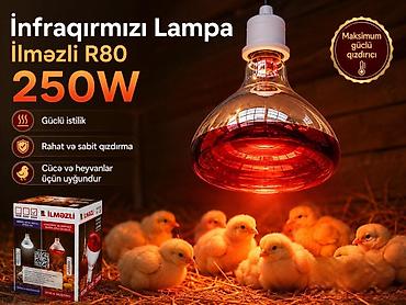 cuce sekilleri: İnfraqırmızı Lampa 250W İlməzli R80 – Maksimum Güclü Qızdırıcı (Yeni) — 3