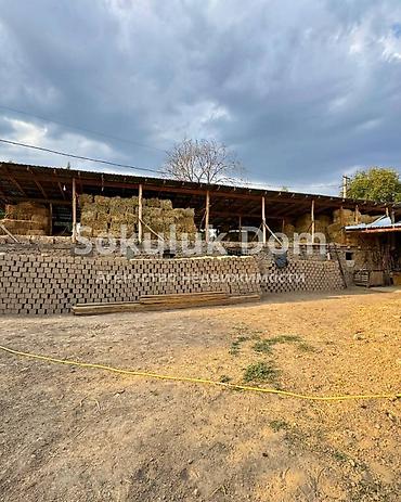 Продажа коттеджей и домов: 🏠Продается дом с большим сараем для скота в с. Сокулук 🟡 Комнаты: 4 🟡 — 4