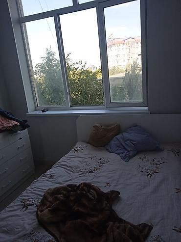archa group: 1 комната, 40 м², 3 мкр Элитка, 4 этаж, Евроремонт — 2