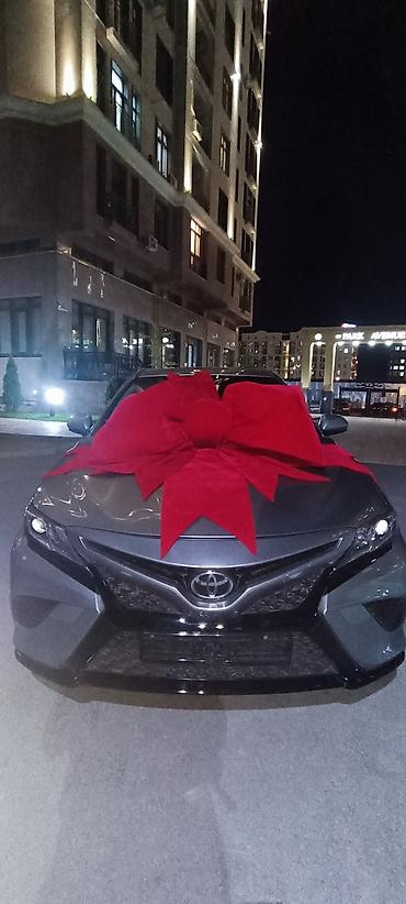 Организация мероприятий: Организация мероприятий | Гелевые шары, Ведущий, тамада, Аниматоры — 23