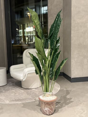 Süni güllər: Dekorativ süni ağaclar dəsti - Model 1: Varlıqlı yarpaqlı dekorativ — 21