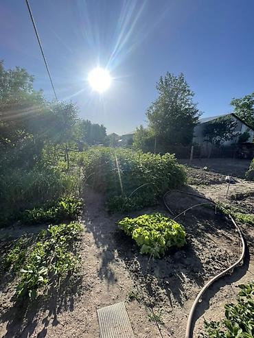 Продажа коттеджей и домов: Продаётся жилой дом в Маевке at lalafo.kg — 8 Продажа коттеджей и домов: Продаётся жилой дом в Маевке — 8