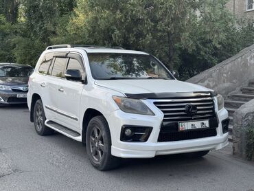 лексус зоо: Lexus LX 570 белого цвета. Этот внедорожник сочетает в себе роскошь и