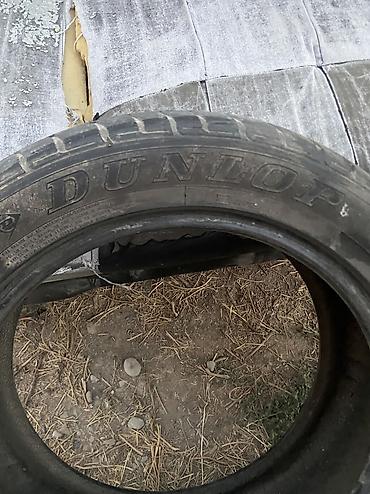 g comp: Шины 215 / 55 / R 17, Лето, Б/у, Комплект, Легковые, Франция, DUNLOP — 3
