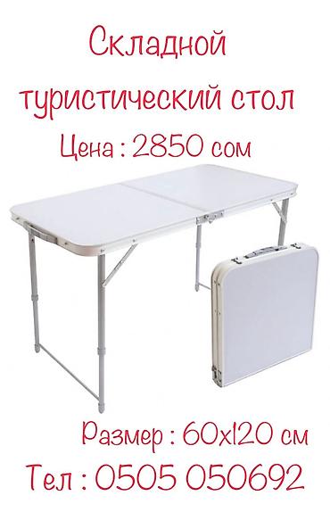 пл: Стол туристический складной Размер : 60х120 см Цвет : синий, белый — 6