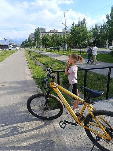 gt велосипед: Горный велосипед BMX GTR, золотистая рама - Легкая алюминиевая рама с — 1
