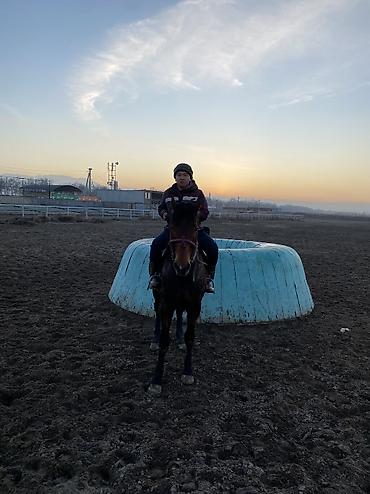 Другие животные: 4 асый . Рост 165 Казан улак жана жер улак бар. Ортонун аты Буттары — 11