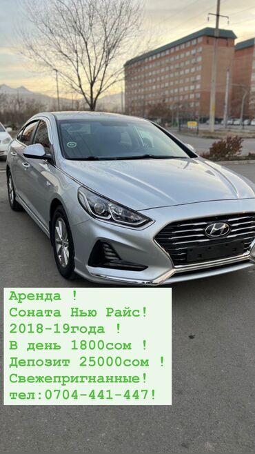 аренда автомобиля хюндай соната: Hyundai Sonata: 2018 г., 2 л, Автомат, Газ, Седан