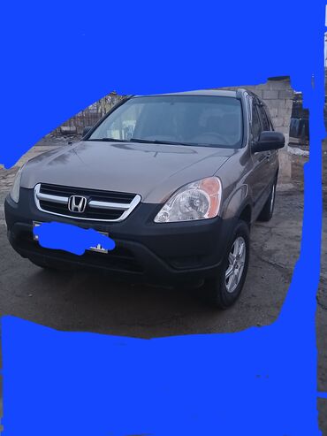 Honda: Honda CR-V: 2003 г., 2.4 л, Автомат, Бензин, Внедорожник