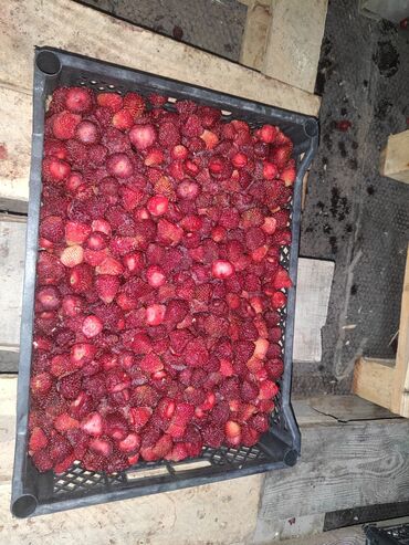 Замороженные фрукты, ягоды: Замороженные фрукты, ягоды — 10