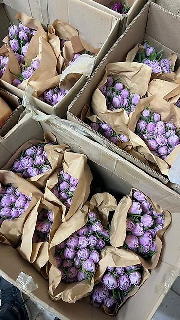 Букеты из живых цветов: Тюльпаны в букете-миксе - Срезанные тюльпаны в крафт-упаковке — 10