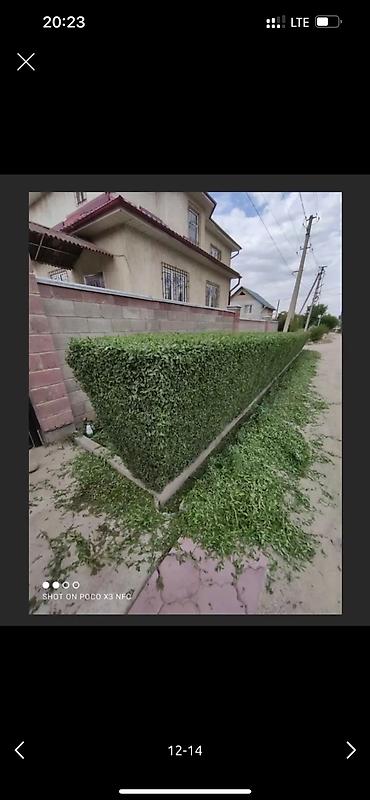 Дворники, садовники: 🌱Я Садовник приходящий раз в неделю Стрижка живой — 12