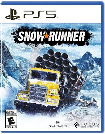 PS4 (Sony Playstation 4): Ps5 snow runner