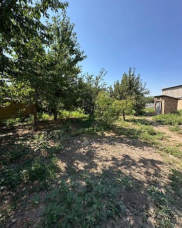 archa group: 14 соток, Для строительства, Договор купли-продажи, Красная книга — 9