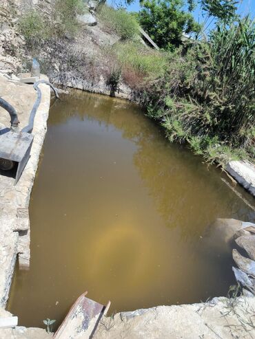 Hazır biznes: Dernegül huyunday servisin arxasi 18 min satailir 2 tokar 2 misar 2 — 6