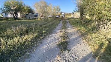 Sale of townhouses: Продаю дом! Адрес:Суусамыр Жайыл район, Чуй область, Уйдо бут условия at lalafo.kg — 7 Sale of townhouses: Продаю дом! Адрес:Суусамыр Жайыл район, Чуй область, Уйдо бут условия — 7