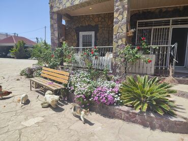 Həyət evləri və villaların satışı: 6 otaqlı, 350 kv. m — 23