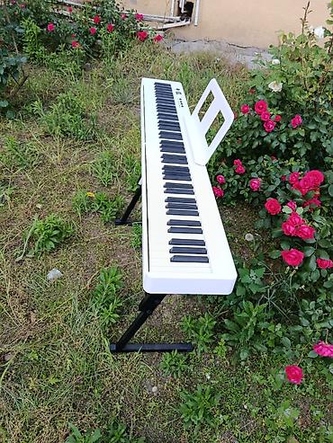 Digər: Təzədir. Qutuda Pianino kursuna başlayanlar üçün, Fotepiano — 13