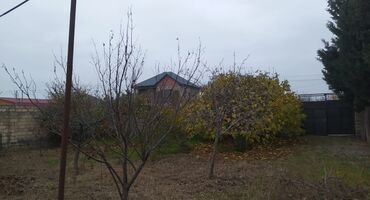 Torpaq sahələrinin satışı: 10 sot, Biznes üçün, Mülkiyyətçi, Kupça (Çıxarış) — 3