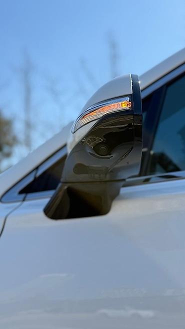 Hyundai: Hyundai Santa Fe: 2019 г., 2.2 л, Дизель — 24