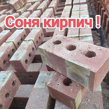Тешиктүү, Бышкан кирпич, Жарым блок, 250×120×90