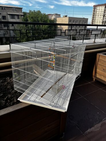 клетки для животных: Клетка для попугая 
В хорошем состоянии 
Цена:2500