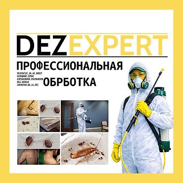 тараканы: Профессиональная дезинсекция от тараканов — DEZEXPERT - — 1