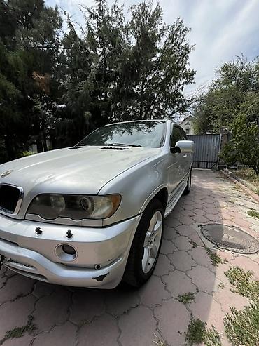 e34 4 4: BMW X5: 2002 г., 3 л, Автомат, Дизель, Кроссовер — 1
