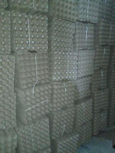 Ящики: Пластиковый Ящик — 10