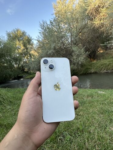 сколько стоит самый дешёвый игровой компьютер: IPhone 13, Колдонулган, 128 ГБ, Ак, Коргоочу айнек, Каптама, 83 %