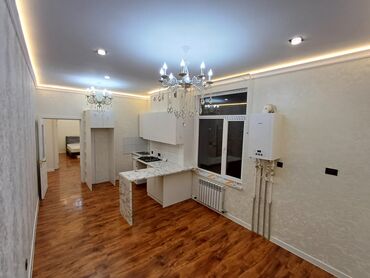 земельный участок первая линия: 2 бөлмө, 45 кв. м, Элитка, 5 кабат, Евроремонт