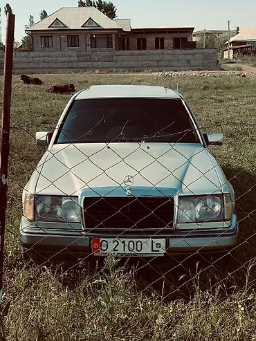 devo lasetti: Mercedes-Benz W124: 1993 г., 2.2 л, Механика, Бензин, Седан — 4