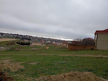 qubada satilan torpaq: 10 sot, Tikinti, Mülkiyyətçi, Kupça (Çıxarış) — 4