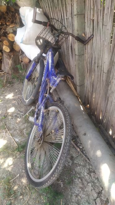 Masaüstü kompüterlər və iş stansiyaları: 22 — 16