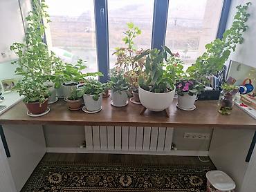 Мебель на заказ: Мебель на заказ, Гостиная, Буфетница, Сервант, Диван, кресло — 12