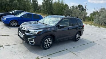крепление для велосипеда на машину бу: Subaru Forester: 2018 г., 2.5 л, Бензин, Кроссовер