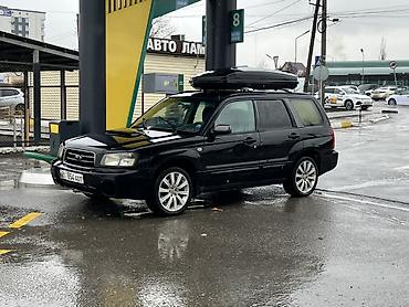 продажа форестер: Subaru Forester: 2003 г., Автомат, Универсал — 1
