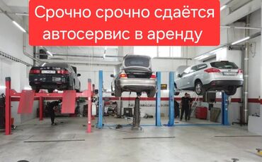 тонировка автомобиля: Без выезда