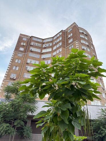 ипотека 2 комнатная квартира: 2 бөлмө, 86 кв. м, Элитка, 10 кабат, Евроремонт