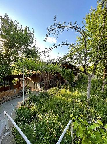 Продажа домов: Дача, 30 м², 3 комнаты — 6