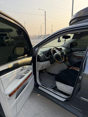 Lexus: Lexus RX: 2004 г., 3.3 л, Кроссовер — 12