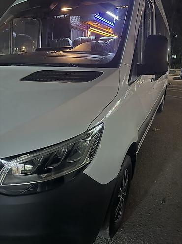 w210 e320: Пункт назначения: Все направления, Количество мест: 18, Лицензия №: 08В006136 — 7